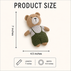 Shreddy Teddy