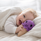 Plum Scoop Rattle